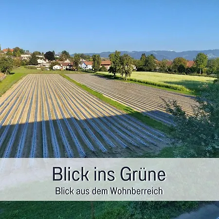 Gemuetlich*stylisch*netflix*blick Ins Gruene*